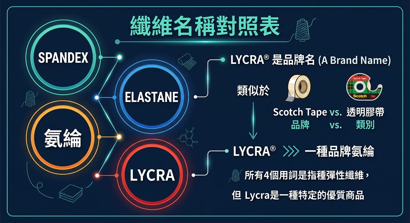 纖維名稱對照表示意圖，左側為四個名稱圓形標籤（Spandex、Elastane、氨綸、Lycra），右側說明 Lycra 是品牌名類似 Scotch Tape 與透明膠帶的關係，簡潔線條圖形搭配深色背景